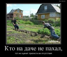 7 мифов про дачу