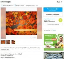 Правильно! Лучше высушите их и продайте за 800 рублей за 20 гр