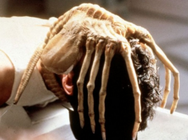 Не дай бог увидеть такое у себя на потолке!