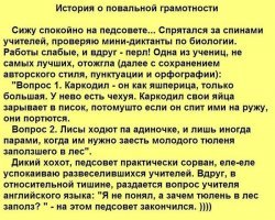 Трубку я, конечно, больше не брала