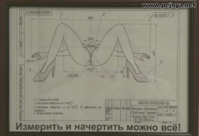 Прикольные и смешные картинки