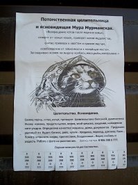 Прикольные и смешные картинки