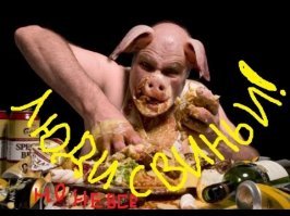 26 случаев, когда люди поступили откровенно по-скотски, и не пожалели об этом