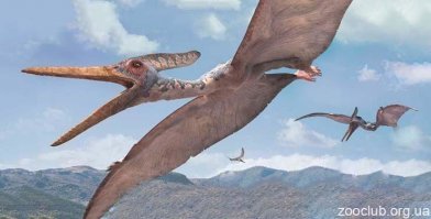 А может быть ?