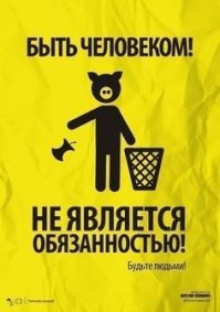 почему я всегда все в пакетик и в мусорник отношу,а тот кто делает всемирный жест свиньи пусть и едут на свои отдельные пляжи.