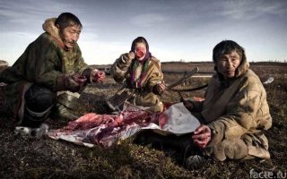 Вот еще "сладкая парочка")))
Копальхем
Смертельно опасные деликатесы встречаются не только в жарких странах. Например, на Чукотке готовят копальхем. Для него используют самого старого и крупного оленя. Животное не кормят несколько дней, чтобы прочистить его кишечник, потом убивают, топят в болоте и забрасывают торфом. Закладка остается на несколько месяцев. После чего его едят. Следовать примеру аборигенов опасно   концентрация трупного яда может убить неподготовленного к нему человека.
Моллюски в раковинах
Когда говорят о вреде и опасности мидий, в основном вспоминают о том, что эти моллюски фильтруют воду и накапливают вредные вещества из нее. Поэтому если вы сами ловите мидий   учитывайте, что они могут быть отравлены токсинами из не очень чистой воды. При покупке мидий в магазине или ресторане вероятность отравиться мала, так как перед продажей моллюсков выдерживают на специальных фермах в течение месяца или более. Это делается специально, чтобы мидии полностью очистились. Так же поступают с гребешками и устрицами, которые подобным образом фильтруют воду.
Гораздо опаснее другое: в мидиях (да и в устрицах тоже, но реже) иногда попадаются осколки раковин, если моллюска неаккуратно вскрыли. Такой осколок может травмировать рот, порезать пищевод и даже желудок. Поэтому мидии, устрицы и гребешки нужно пережевывать очень тщательно.