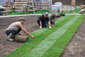 А такой , морской рулон надо где покупать, в каком отделе?
Газоны у нас в сельскохозяйственном отделе продаются.