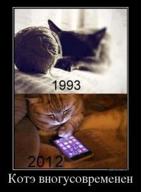 Осторожно: милые котики!