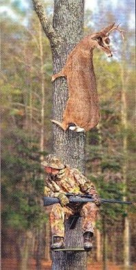 Прикольные и смешные картинки