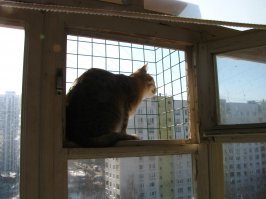 Не такая уж и тяжело реализуемая, я своей на форточку балкон приладил.