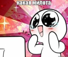 Осторожно: милые котики!