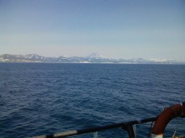 ххх Пошел в море матросом. До этого на берегу почти 20 лет протирал штаны в банках. Как же в море круто! Да, тяжелая работа, почти вся физическая, на палубе. НО! Нет долбаного начальства, вынимающего мозги; нет, мать его, никаких планов по продажам! Нет, сука, штрафов за невыполнение этих планов! Посмотрел на мир, побывал за границей. Еще кормят и деньги платят. Для меня это настоящая мужская работа. Подтянулся физически. Как подумаю о том, чтоб сидеть в офисе за компом по 8 часов, так блевать тянет. 

Так то оно так!!! Но вот в чем дело, я сейчас в море нахожусь в рейсе, а все свободное время все равно провожу в интернете)))))) Кстати, фотка)