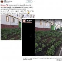 Скрины из социальных сетей