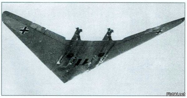 Horten Ho VII