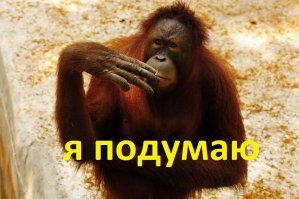 В новом фильме Disney Русалочку сыграет темнокожая актриса Холли Бэйли