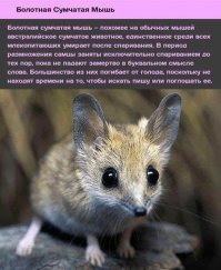 Вот настоящий мужик!