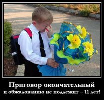 "Ветер северный": жители Владимира возмутились школьными тетрадями с колючей проволокой