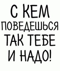 Попугай какаду  облаял незнакомца вместе со своими четвероногими друзьями