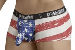 Патриотизм головного мозга: заокеанская версия