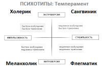 Есть ещё такие определения:
Холерик - Чувства управляют разумом
Сангвиник - Разум управляет чувствами
Меланхолик - Чувствам не хватает разума
Флегматик - Разуму не хватает чувств
В принципе, подходит...  :)