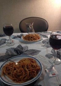 И в итоге она Его нашла !!