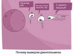 «Отбор в доноры — как набор в космонавты»: россиянин подробно рассказал, как стал донором спермы