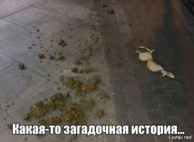 Как найти идеального мужчину (или женщину). Мини-рассказ