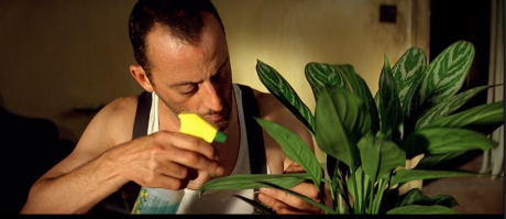 Женщина попросила соседа позаботиться о растениях на время ее отъезда и не прогадала