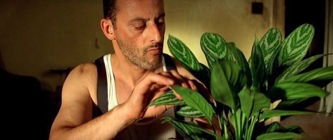 Леон бы лучше позаботился!