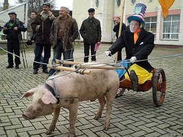 вы тоже любители понтов