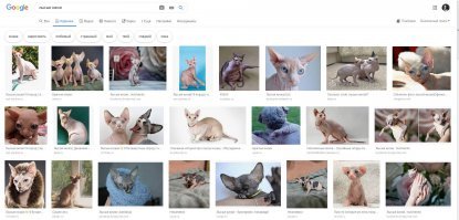 Смешные и не очень СМС переписки