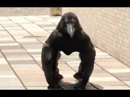 15 разоблачительных фото, на которых всё решает ракурс