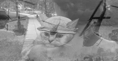 Джонни! гуки! они на деревьях!