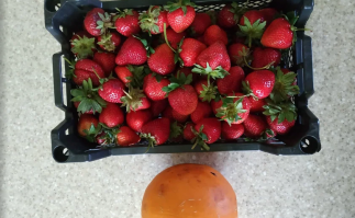 Целый ящик клубники и огромная дыня! Ан нет...