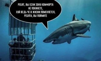 Гигантская акула перекусила рыбой и заглянула в батискаф к учёным 