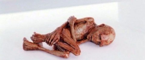 Напомнило))))