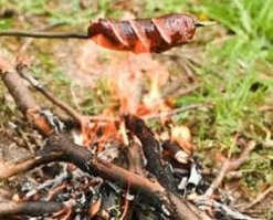 Вот и всё барбекю