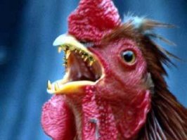 год спустя: