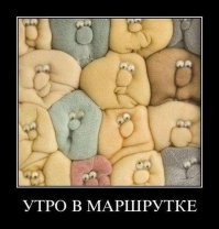 Интересные факты о московском метро