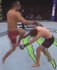 Куда он ему попал? я пытался покадрово смотреть, и с трудом понял, коленом куда то в район шеи и ключицы с правой стороны, и уже в падении возможно немного задел челюсть но именно задел а не ударил в челюсть