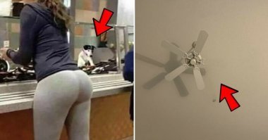 Глаза и мозг не всегда хотят работать в команде ;):)
Вот и собака и жопа. А где они?