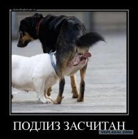 Позитивные новости о России. На весь период отпусков