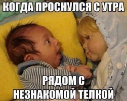 Прикольные и смешные картинки