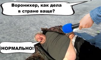 Мосье Воронихер огорчён твоим пессимизмом!