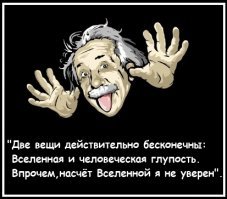Молодой медведь атаковал пытавшихся покормить его людей