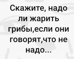И даже не стыдно: интровертам посвящается