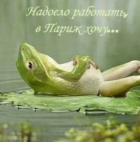 Прикольные и смешные картинки