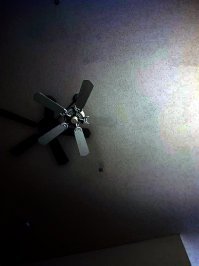 Глаза и мозг не всегда хотят работать в команде