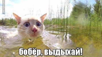 15 разоблачительных фото, на которых всё решает ракурс