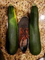 Ну уж это то нефига не ОГРОМНОЕ! Мне соседка по даче и побольше "монстров" выдавала (сам ничего не выращиваю)....